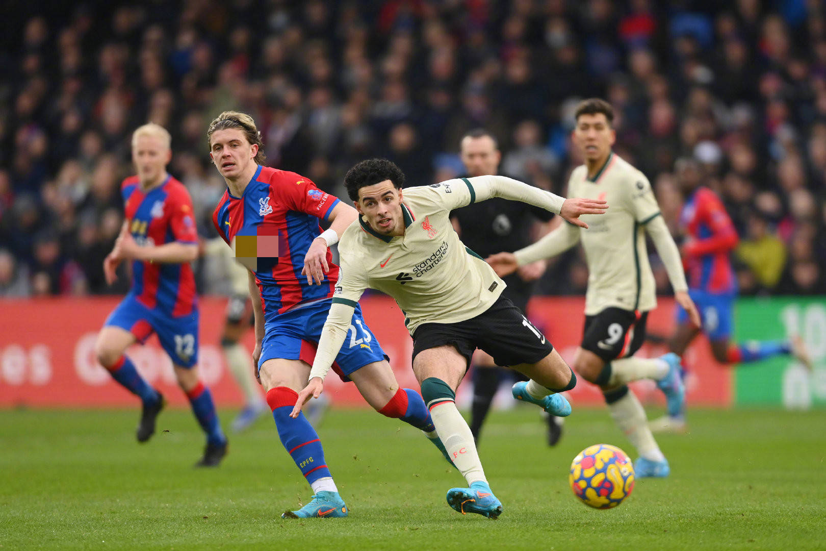 會進一步加 會進一步加